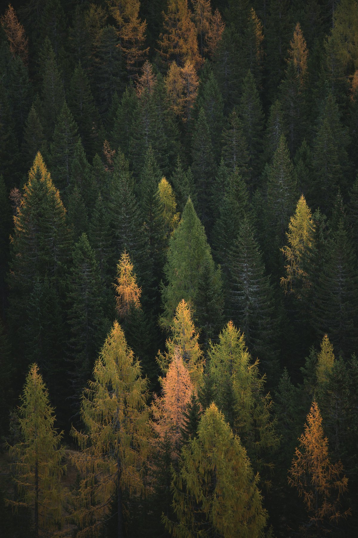 Sweden